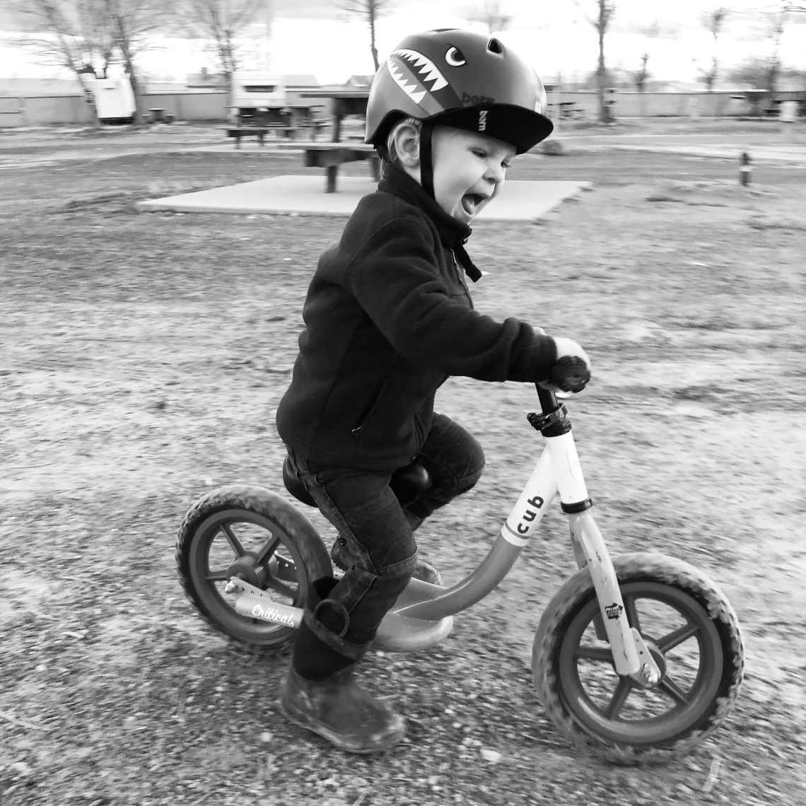 1c0682b5-e24f-4a14-a015-250c6c8d975c-1