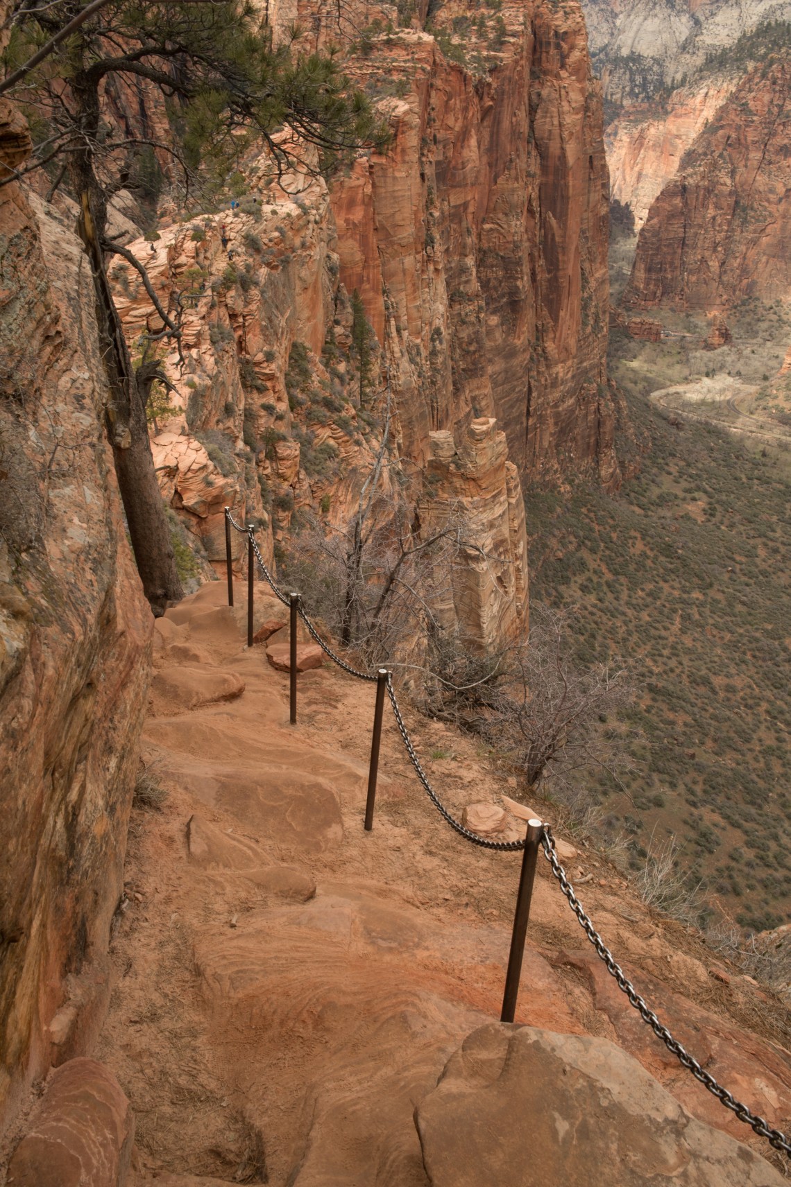 Zion3faves-14
