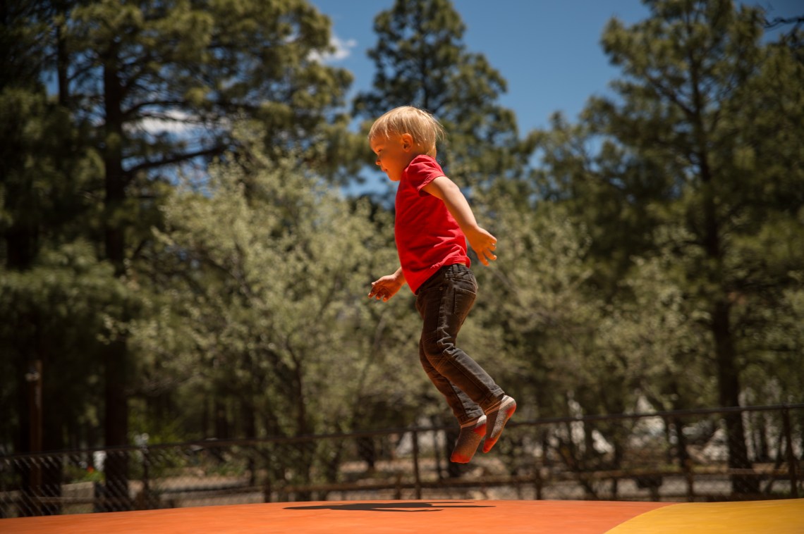 Flagstaff - Petrified NP faves-20