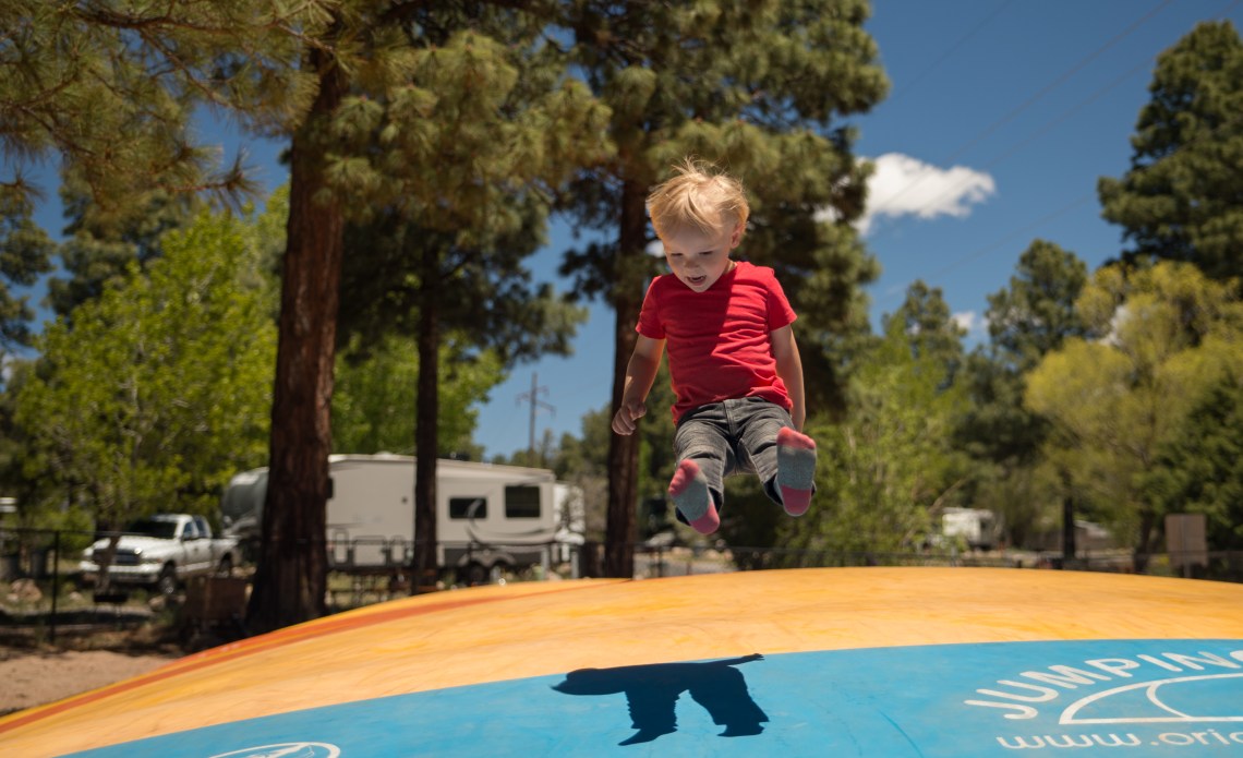 Flagstaff - Petrified NP faves-22