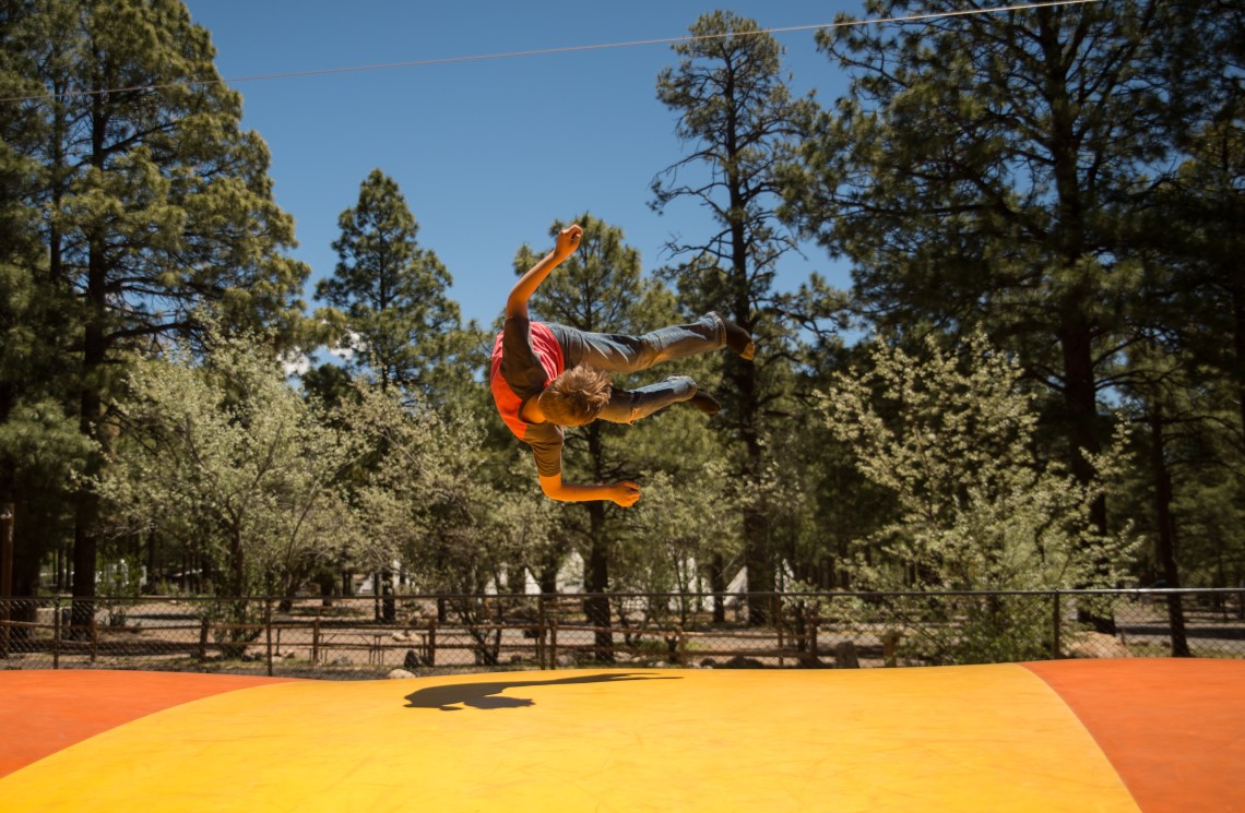 Flagstaff - Petrified NP faves-25