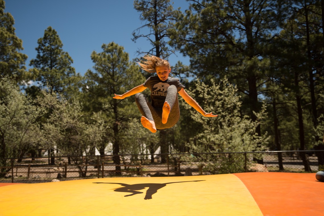 Flagstaff - Petrified NP faves-26