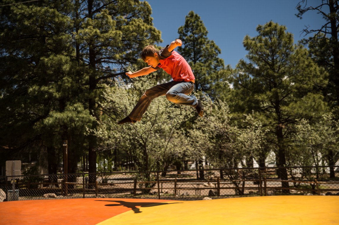 Flagstaff - Petrified NP faves-28