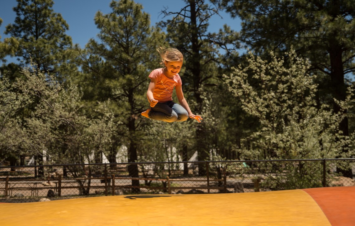 Flagstaff - Petrified NP faves-29