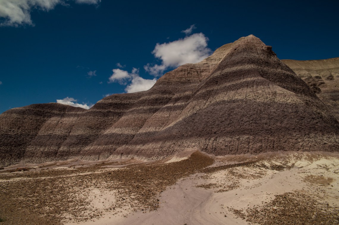 Flagstaff - Petrified NP faves-3