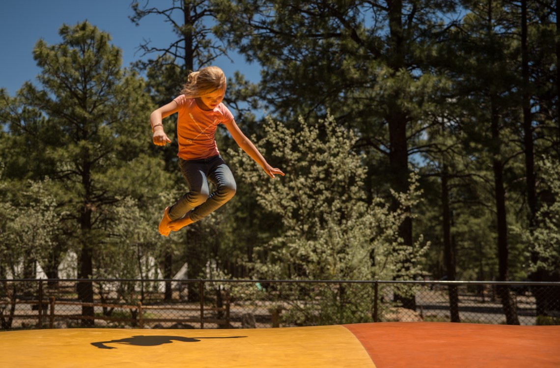 Flagstaff - Petrified NP faves-30