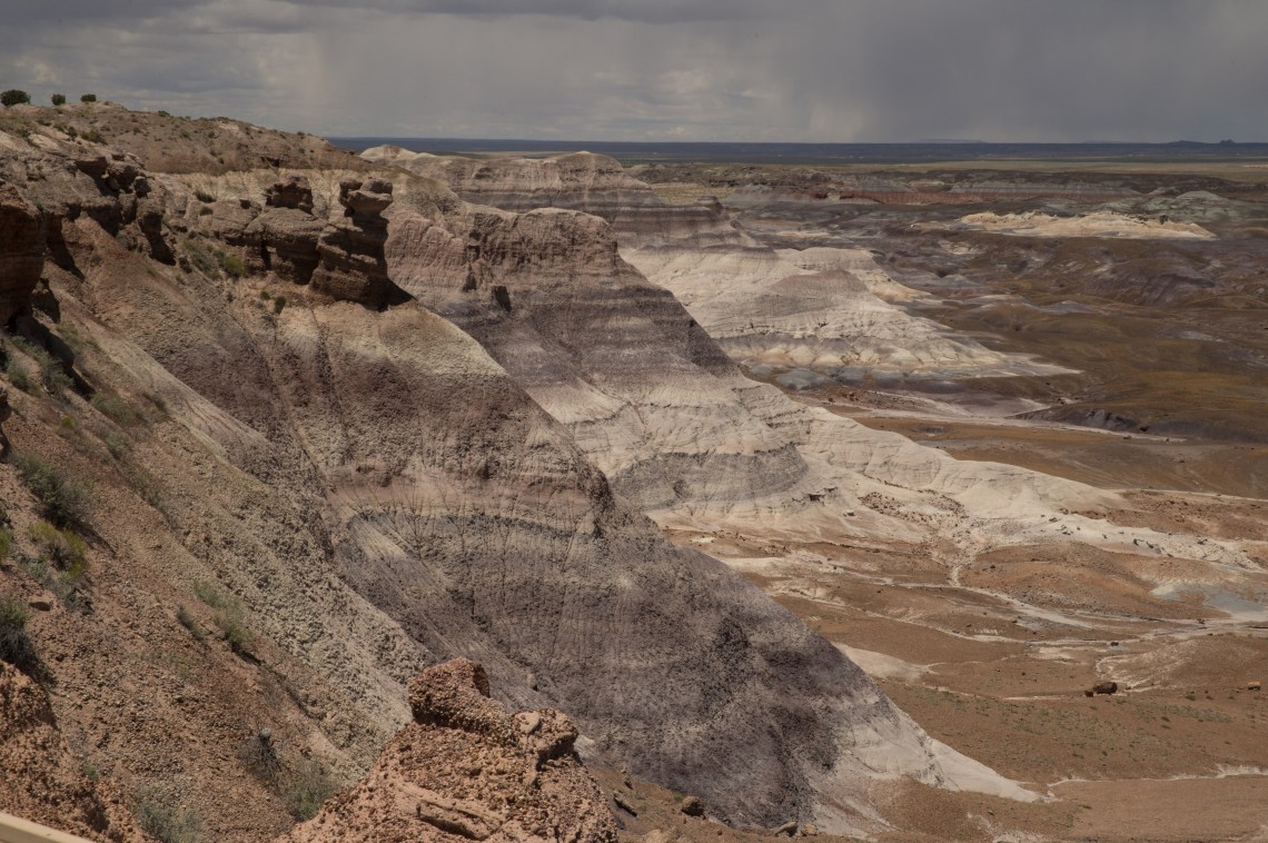 Flagstaff - Petrified NP faves-8