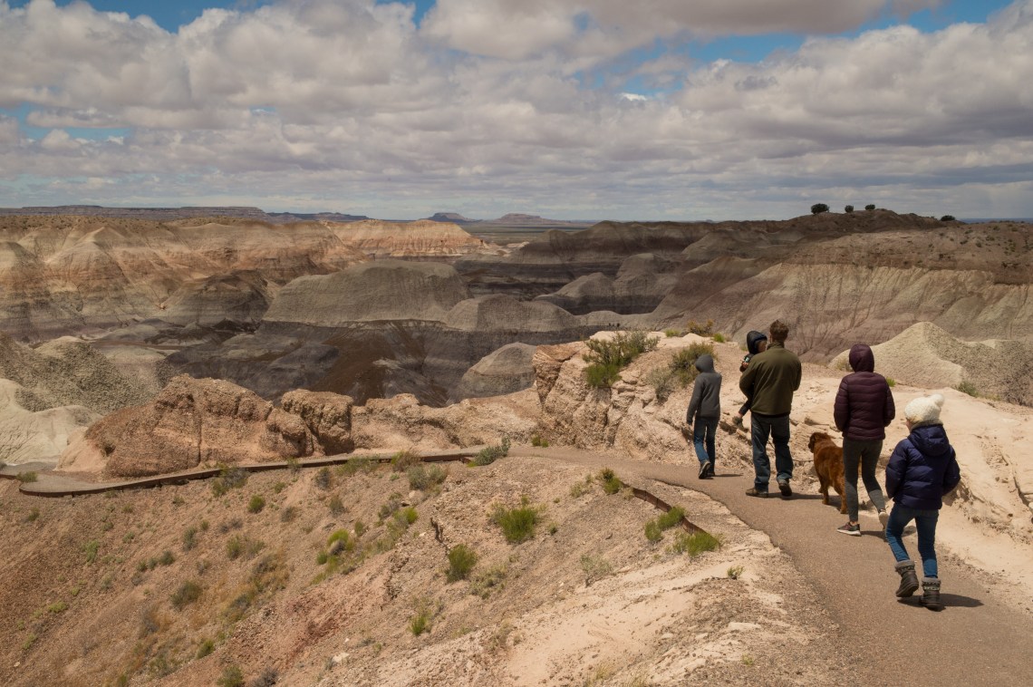 Flagstaff - Petrified NP faves